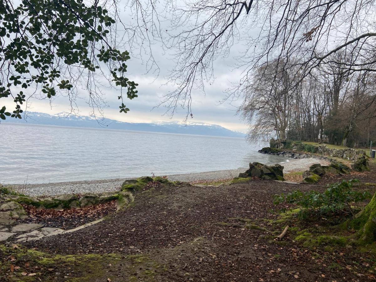 Bord De Lac,2 Chambres Superbe Vue Lac 5Mn Evian Люгран Екстериор снимка